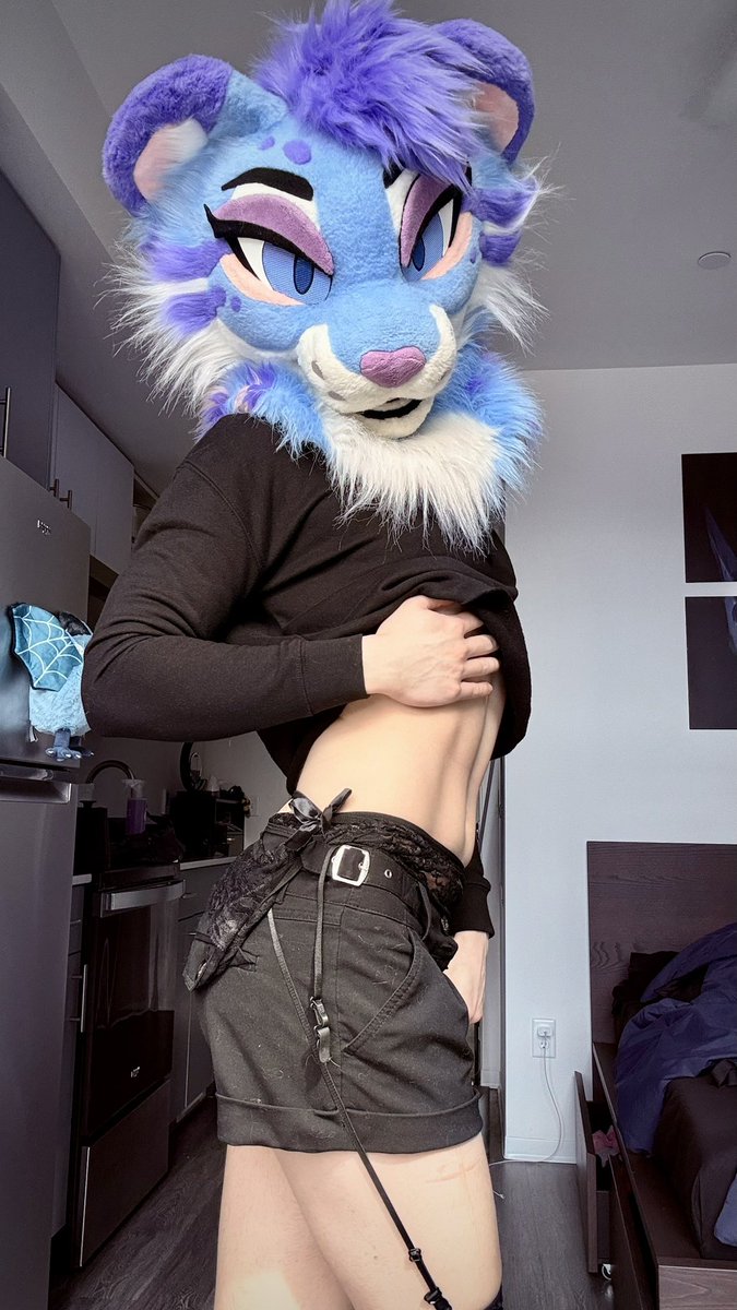 Kivvy Cat! tweet media