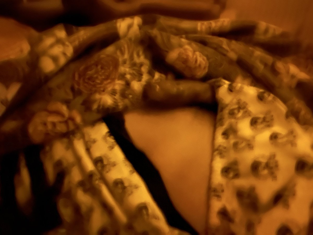 腥輔官😘 tweet media