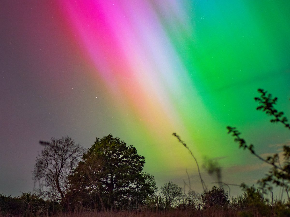 Josh French tweet media