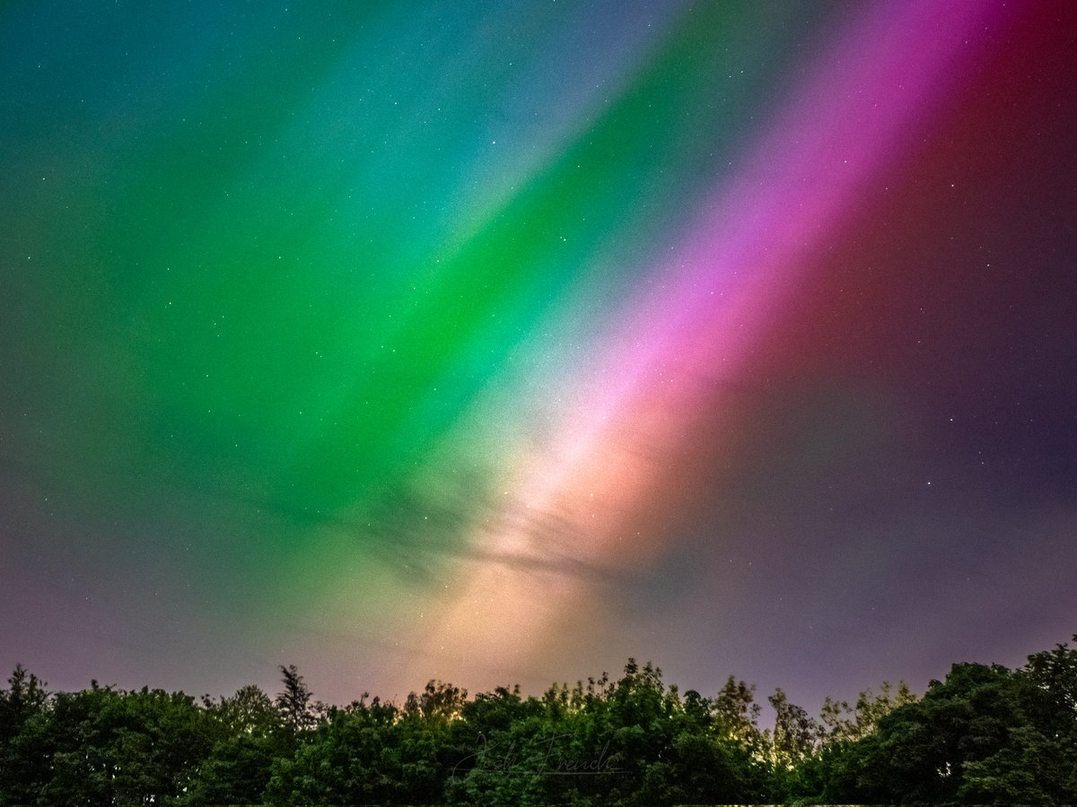 Josh French tweet media