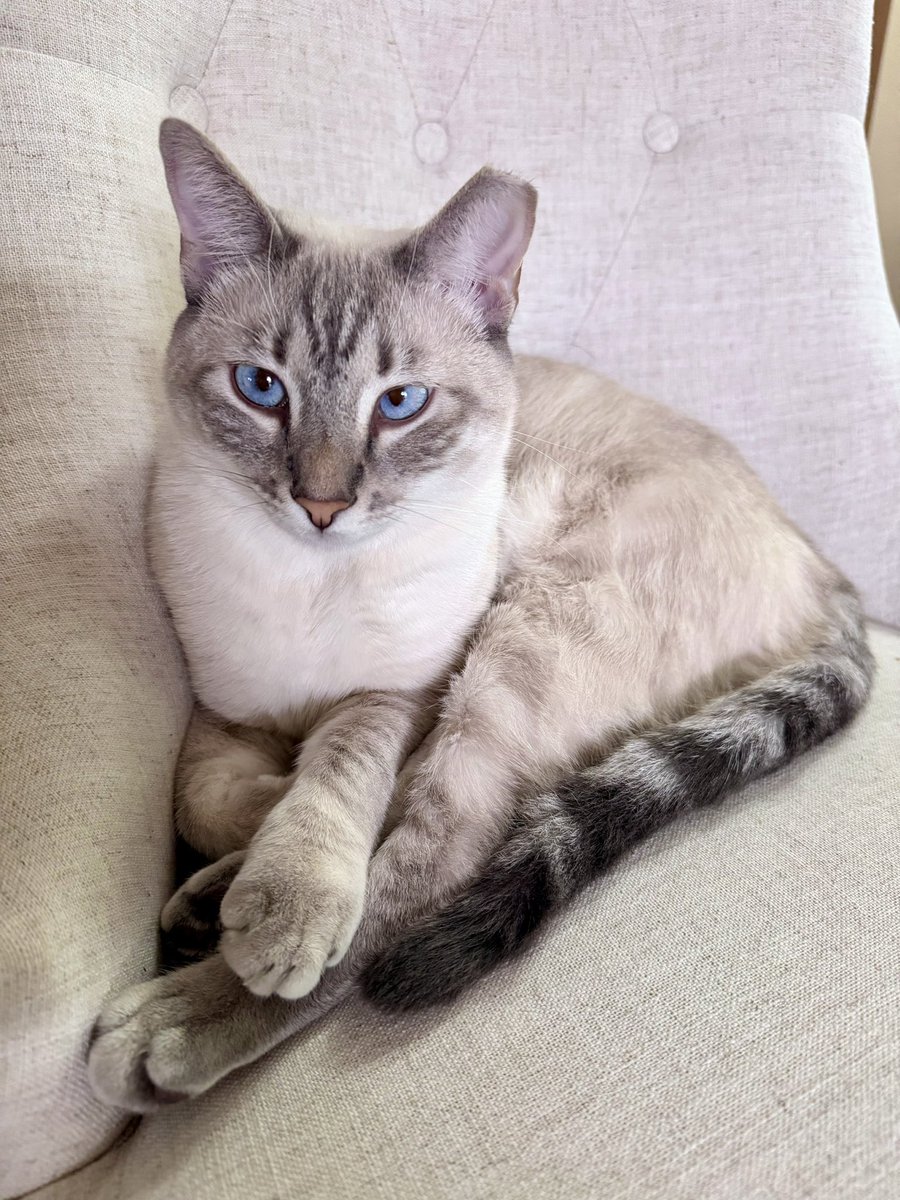 anime-nickelback tweet media