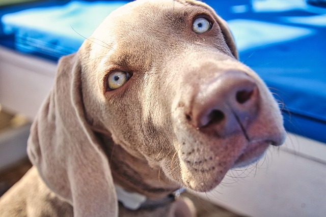 Matthew Kim tweet media