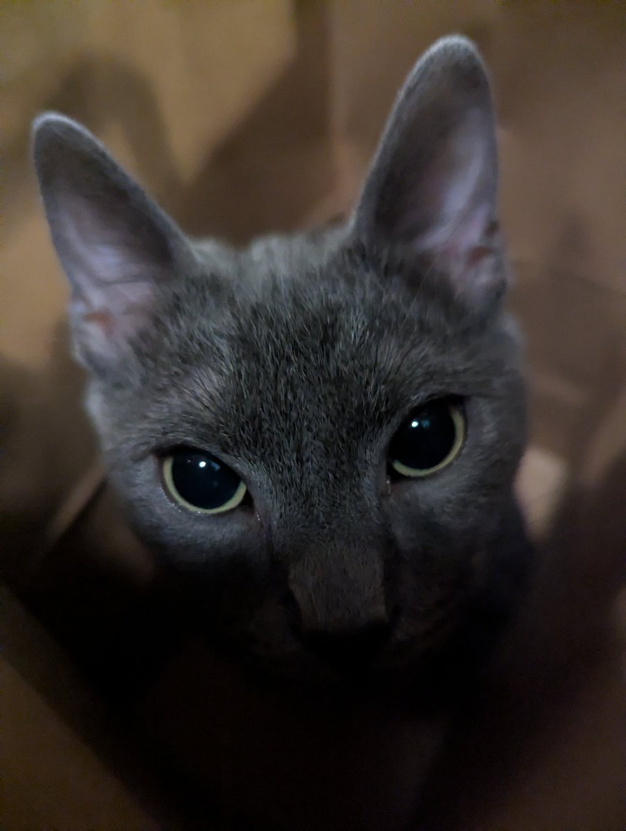 iroh (and bumi) tweet media