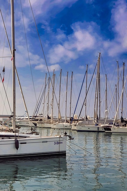 Jessica Castro tweet media