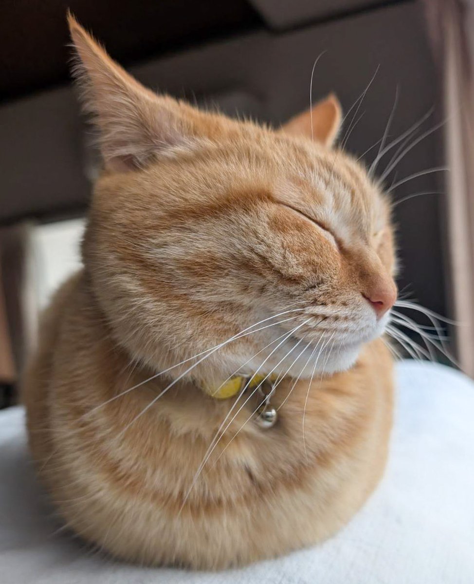 おててないないない