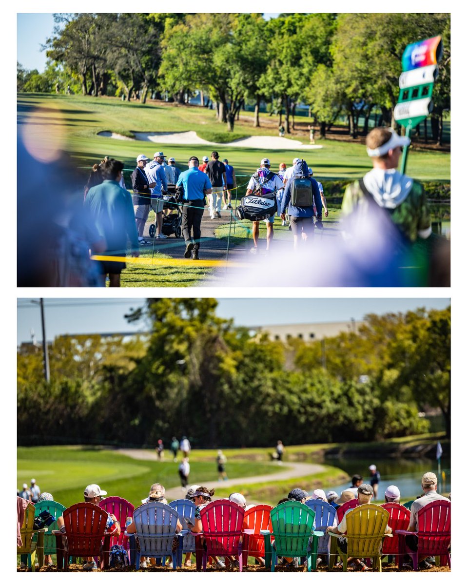 Innisbrook Resort tweet media