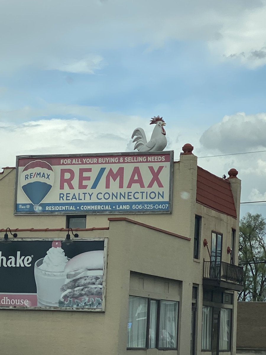 chicken tweet media