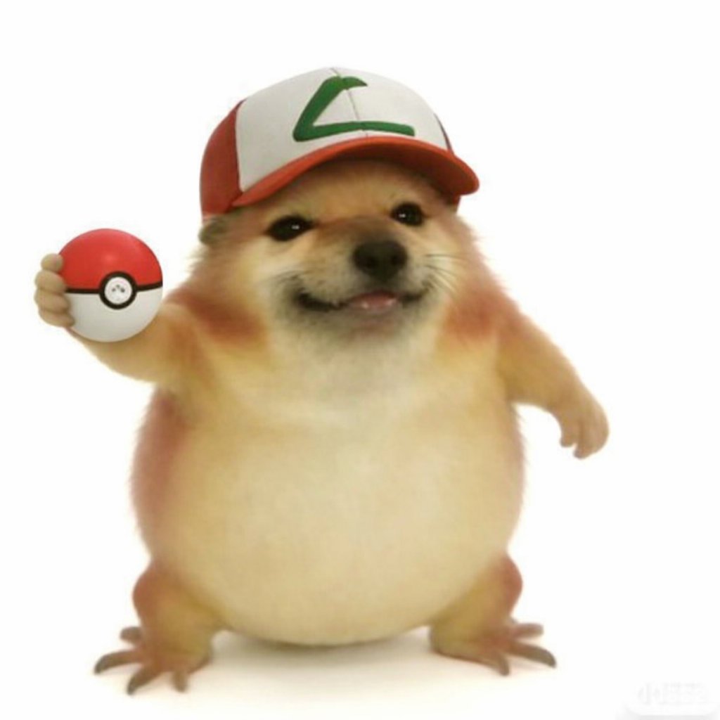 CryptoBimbo22 tweet media