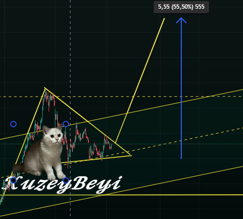 𝑲𝒖𝒛𝒆𝒚𝒃𝒆𝒚𝒊 tweet media