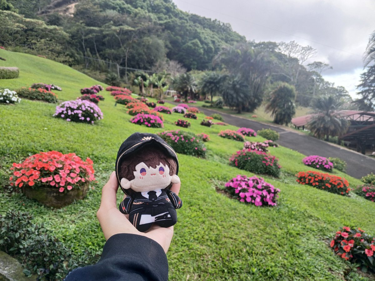 Amia ✧⁠*⁠。 tweet media