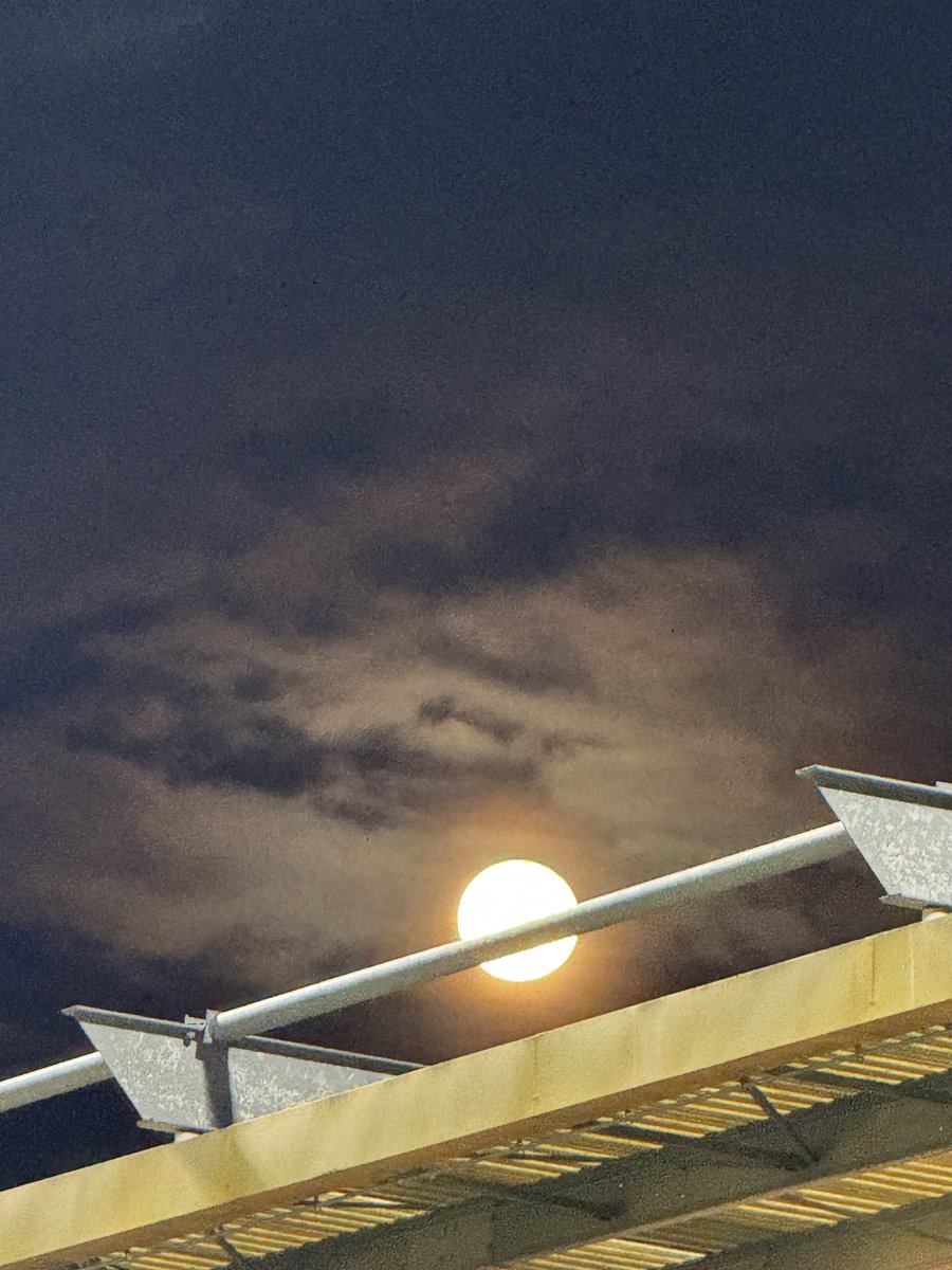 vic morgan tweet media