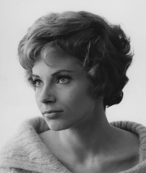 Sefa Çevik 🦌 tweet media