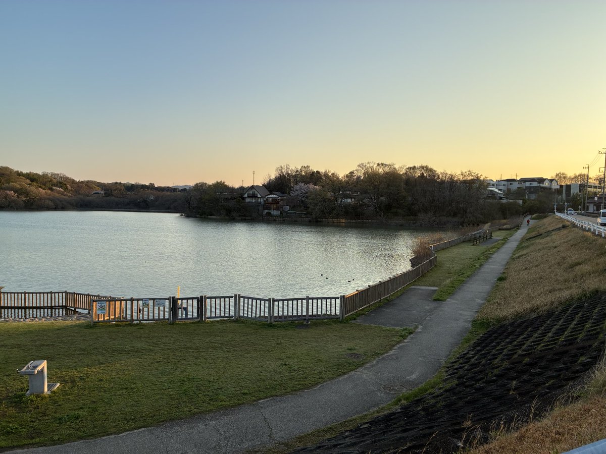 しげぞー tweet media