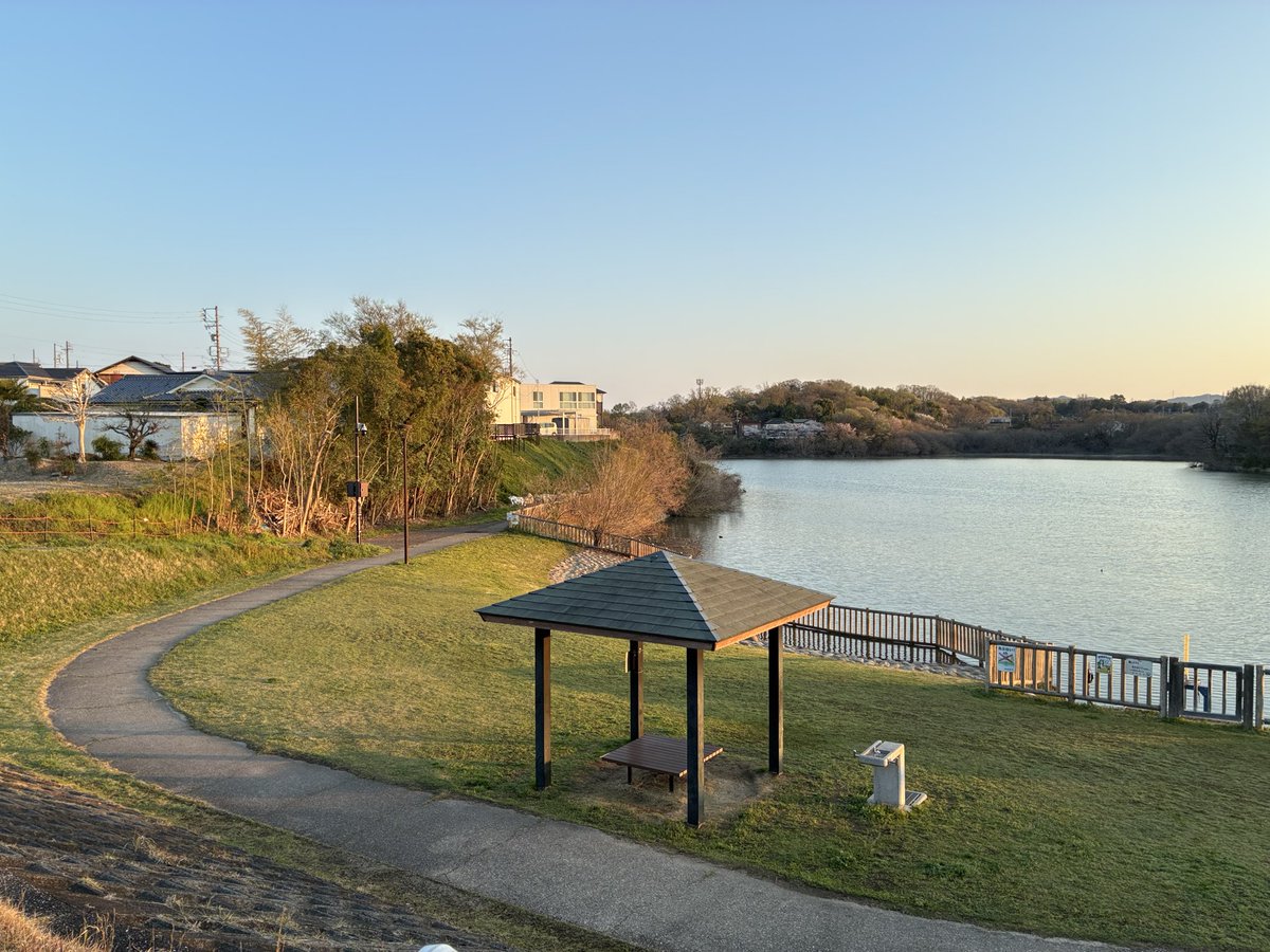 しげぞー tweet media