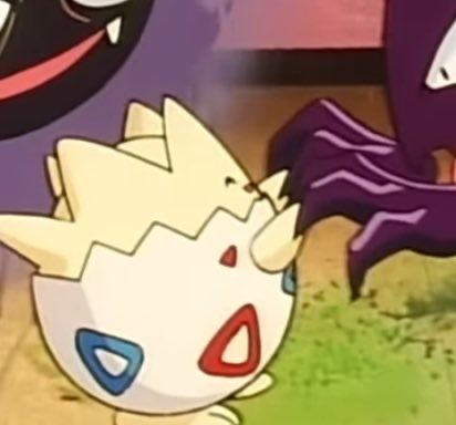 Pokémon Daily tweet media