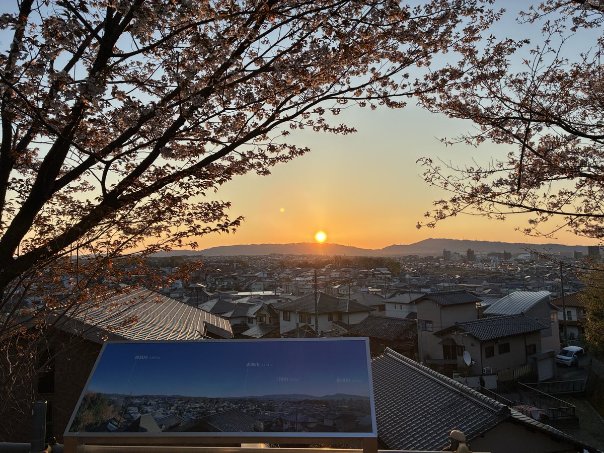 しげぞー tweet media