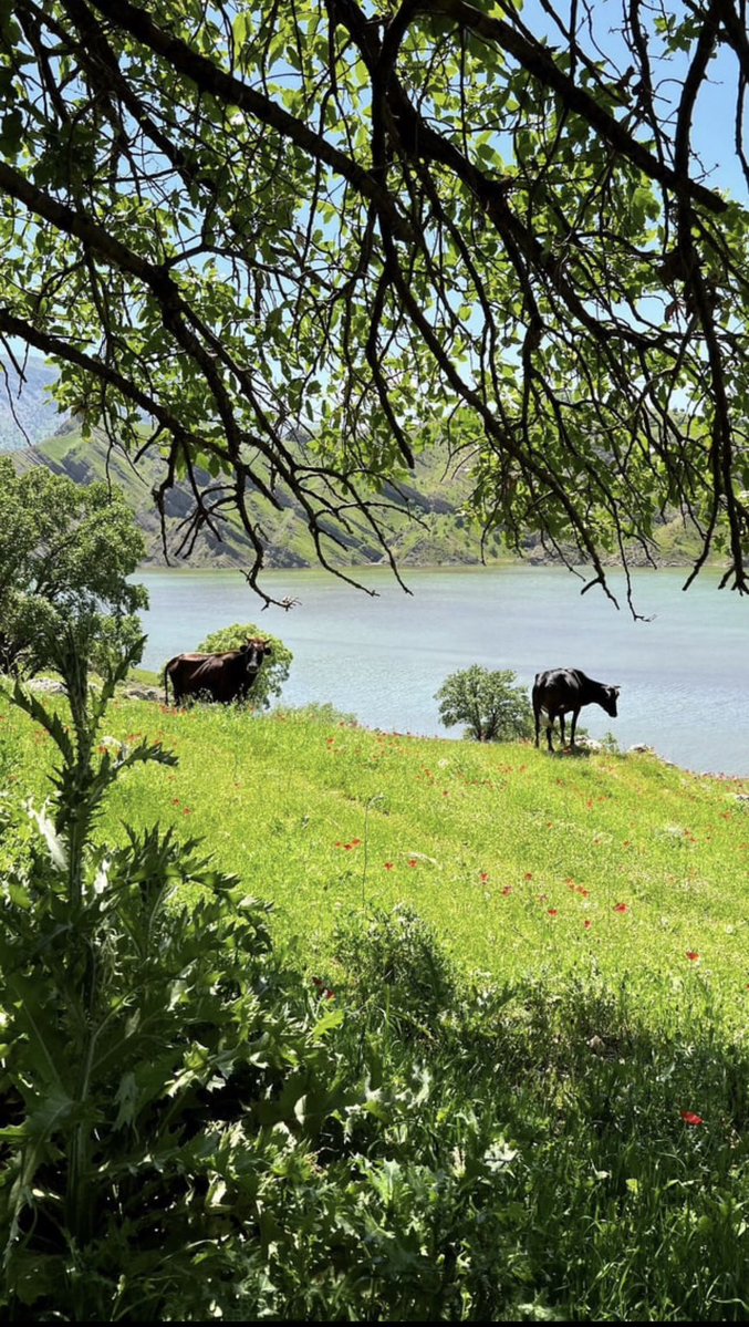 ✷ IRAQPOTAMIA tweet media