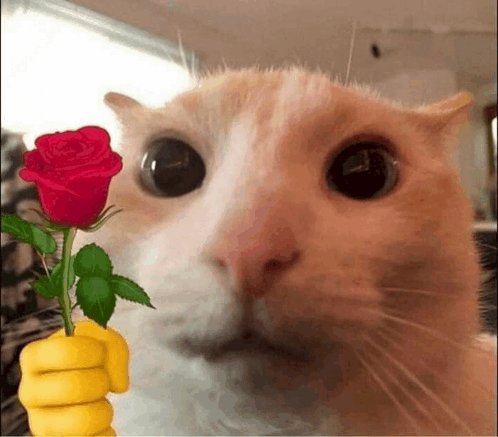 233Neon's tweet photo. @TruWorlds TruWorlds, will you marry me? 😍 https://t.co/b2gkONyog9