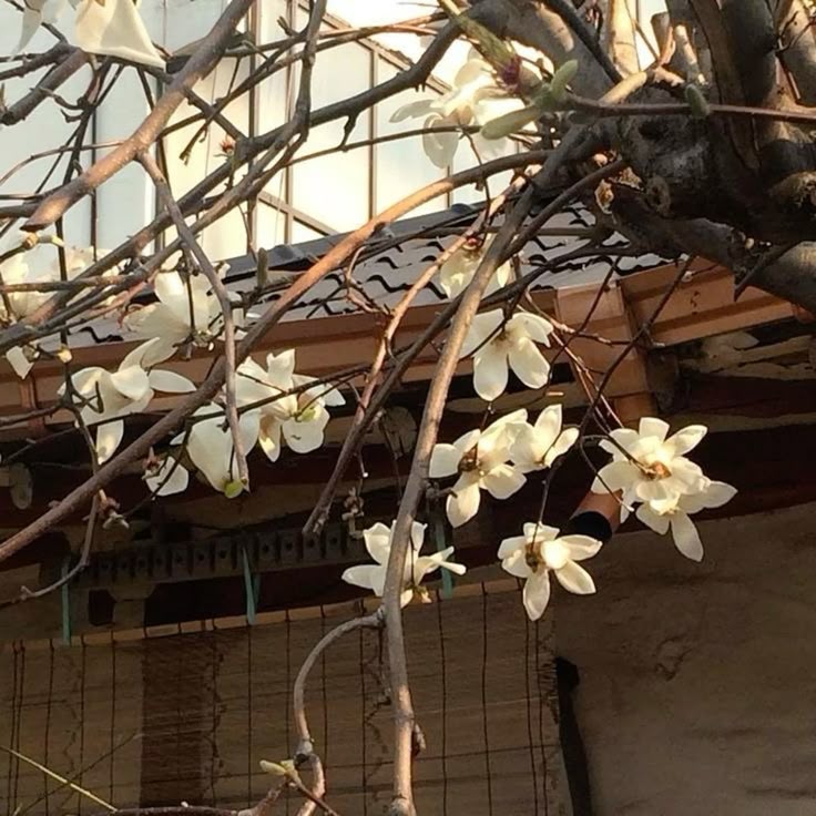 🚦 sol / avery's sister in law & derek's sister tweet media