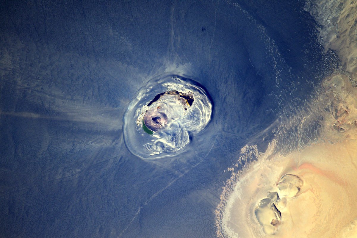 Teleported tweet media