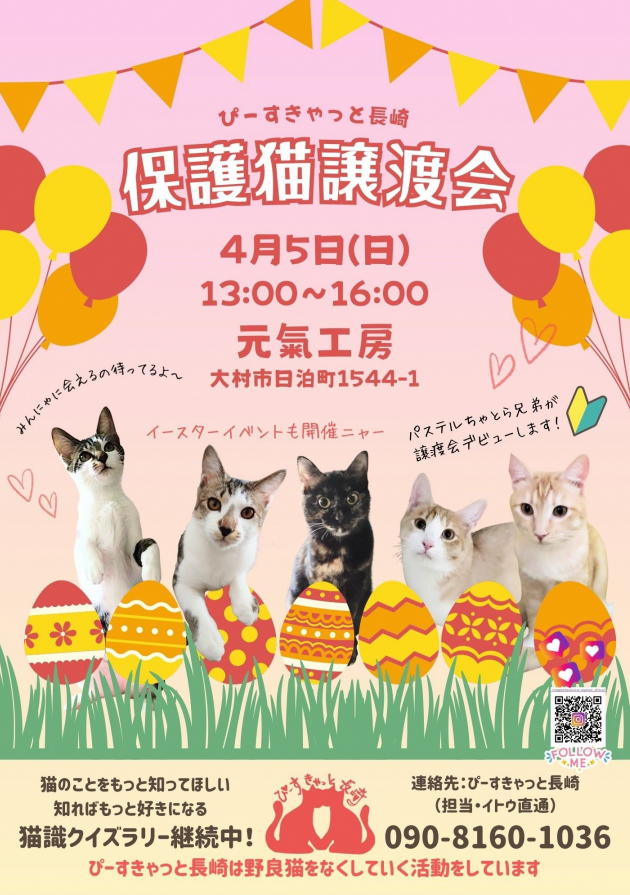 にゃぱねっと♂ tweet media