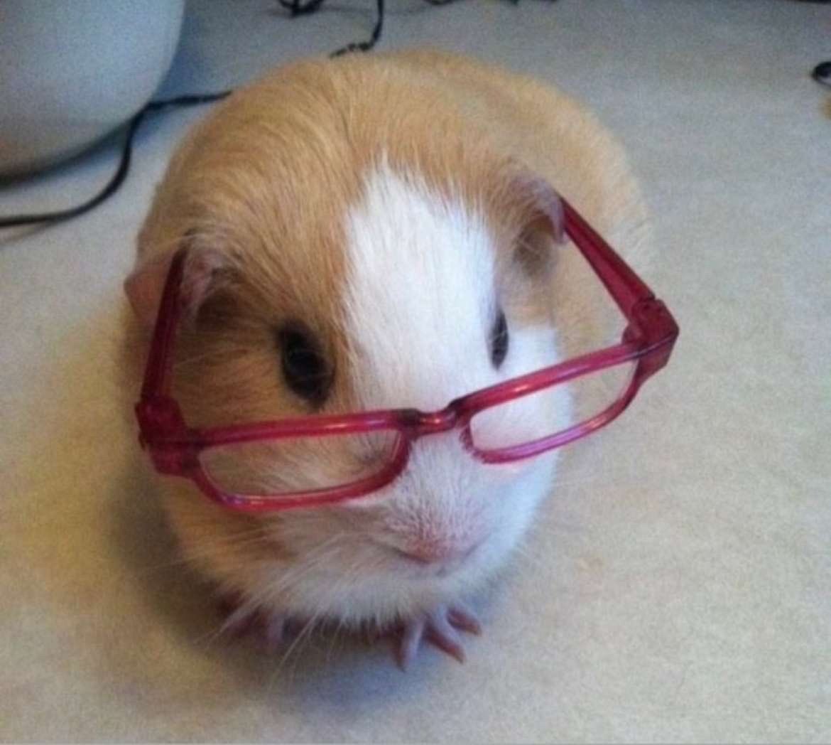 faye 🦀 tweet media