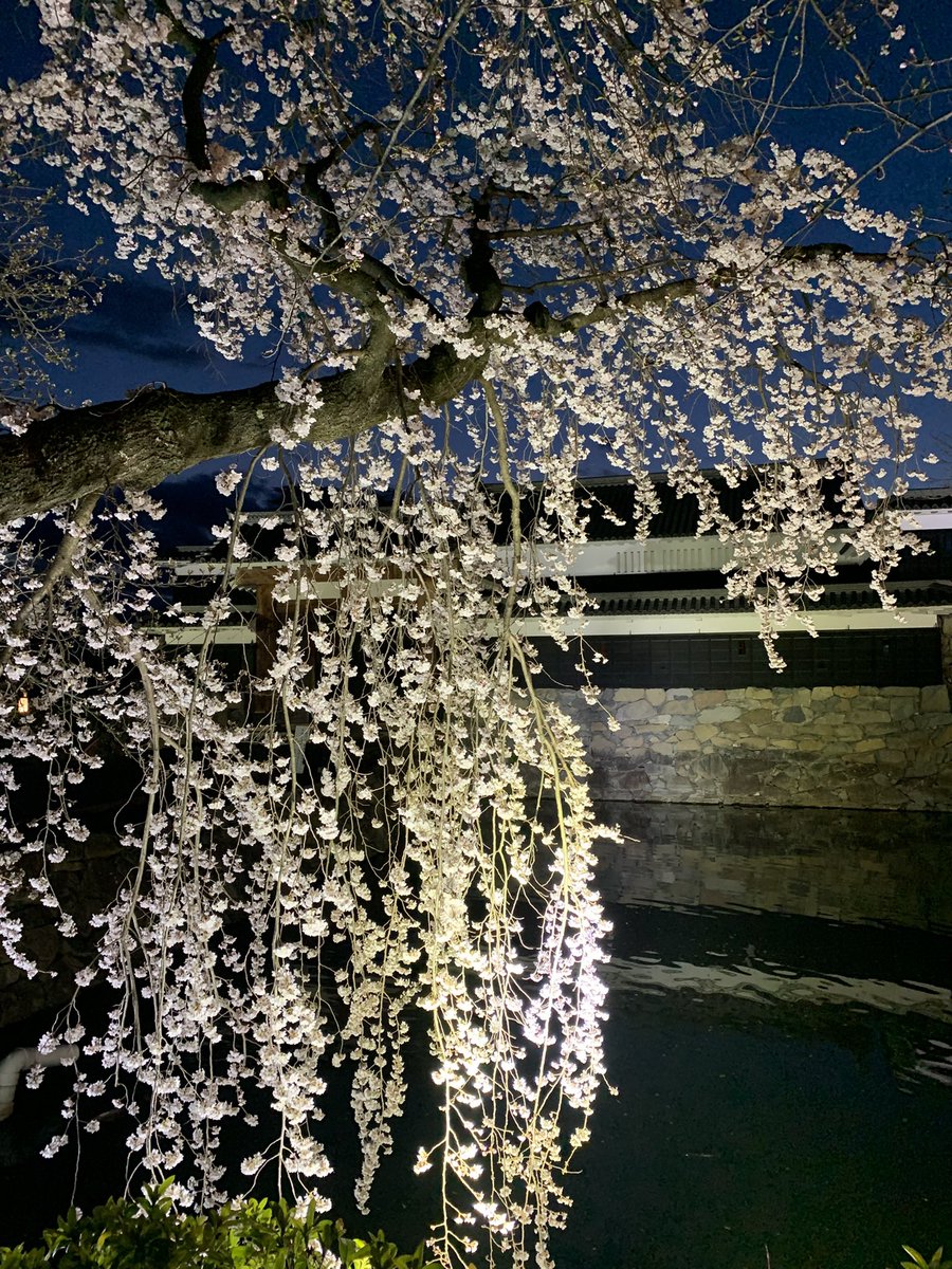 peachmouse tweet media