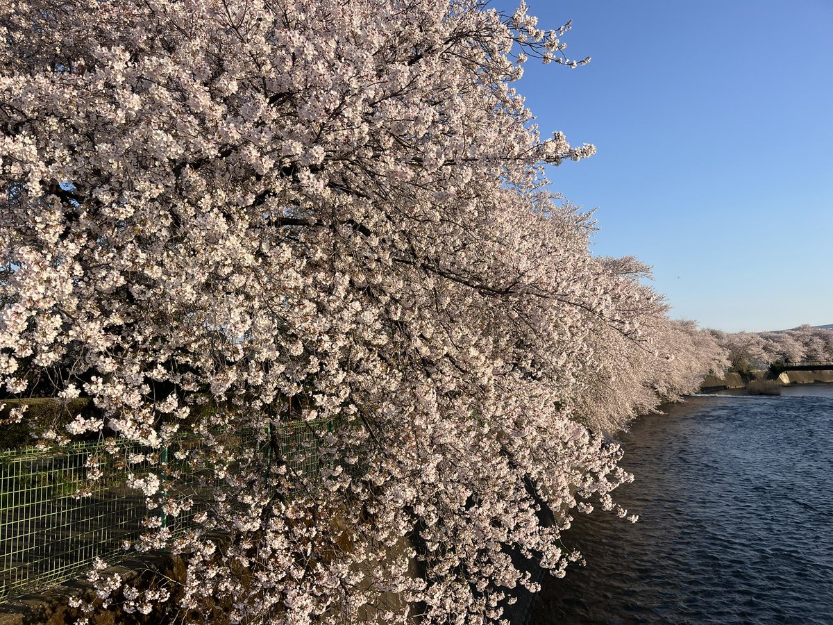 マッチボックス tweet media