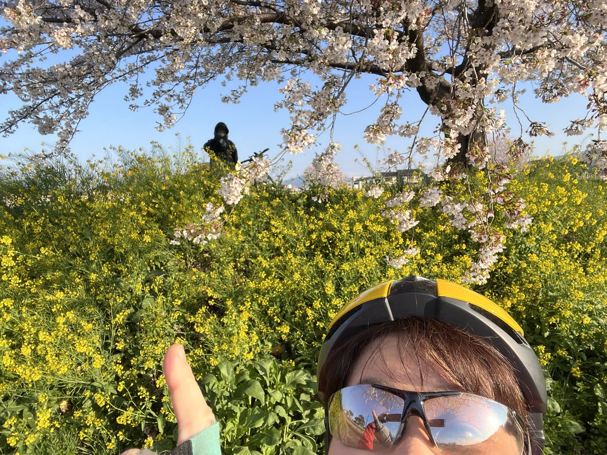 マッチボックス tweet media