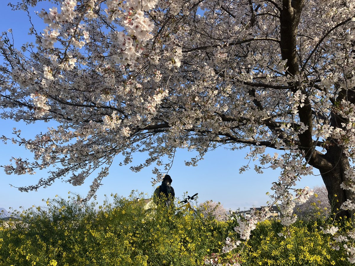 マッチボックス tweet media