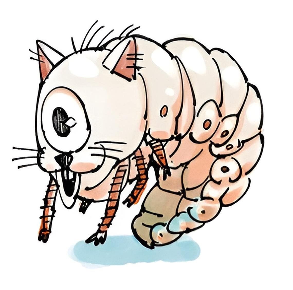 Sαηguche tweet media