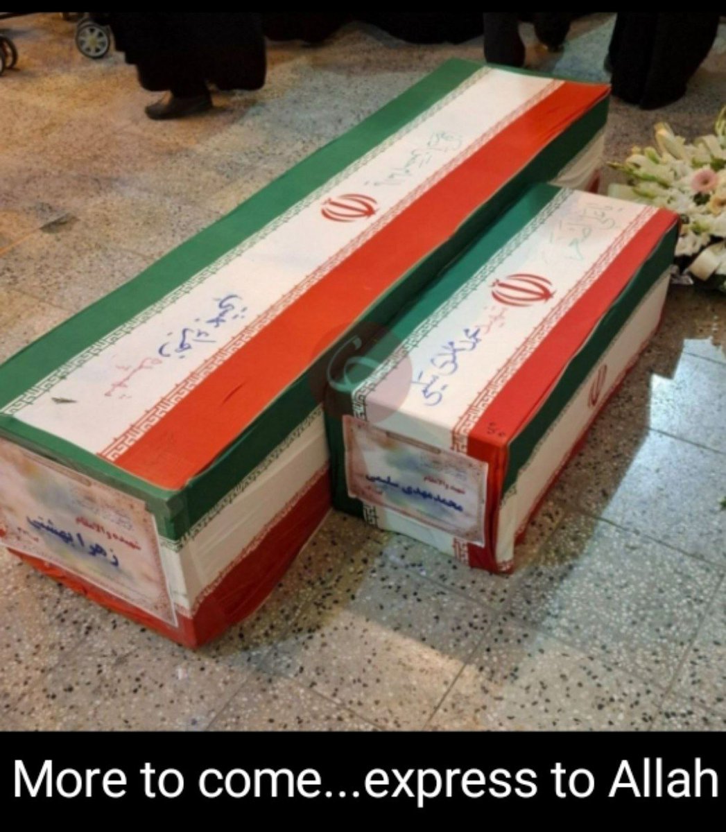 Azure Fisheries Colombia 🇨🇴 tweet media