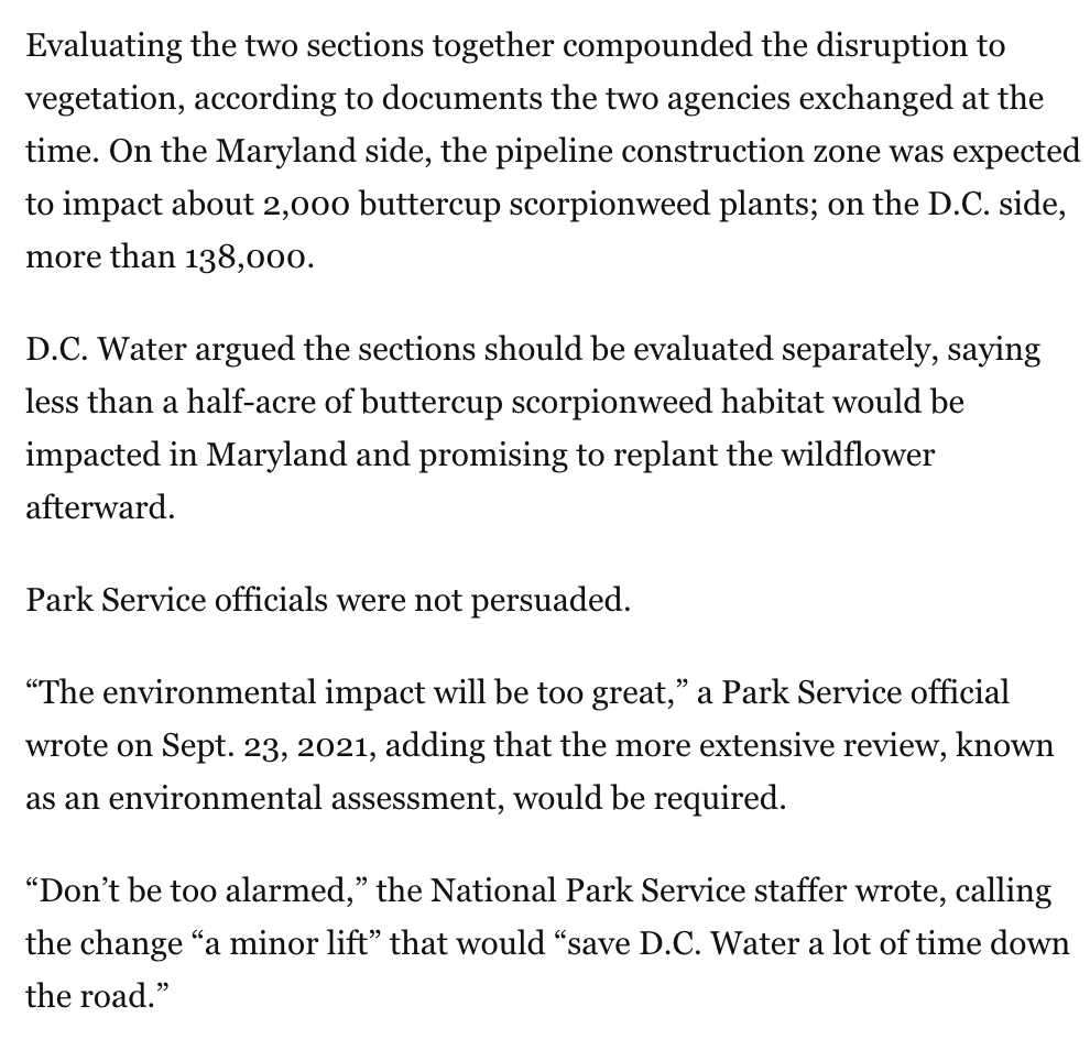 Jerusalem tweet media