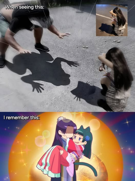 Anime Daily tweet media