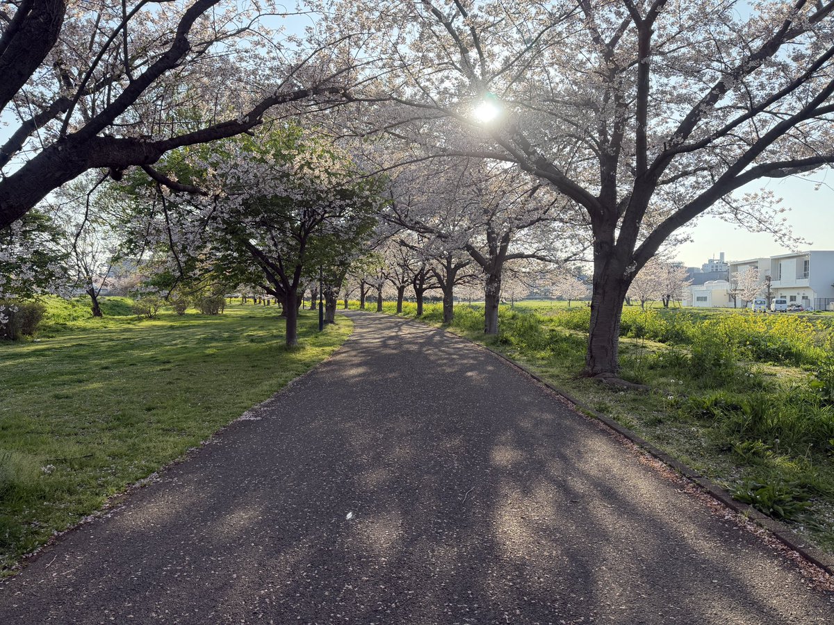 Satomi🍀 tweet media