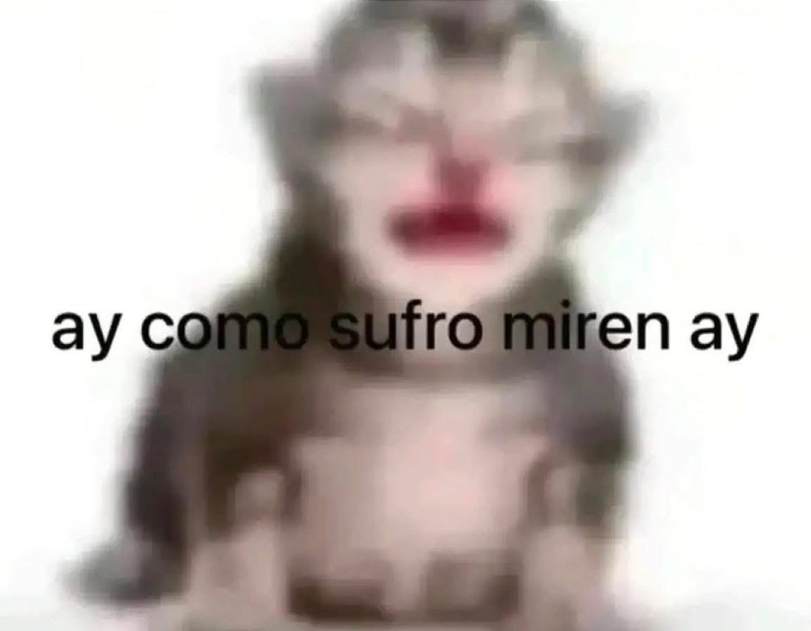 beki ⋆˚꩜｡݁ ˖Ი𐑼⋆ tweet media