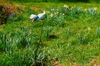 Marsha Mildon🇨🇦🌈Award winning author No DMS tweet media