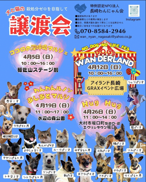 にゃぱねっと♂ tweet media