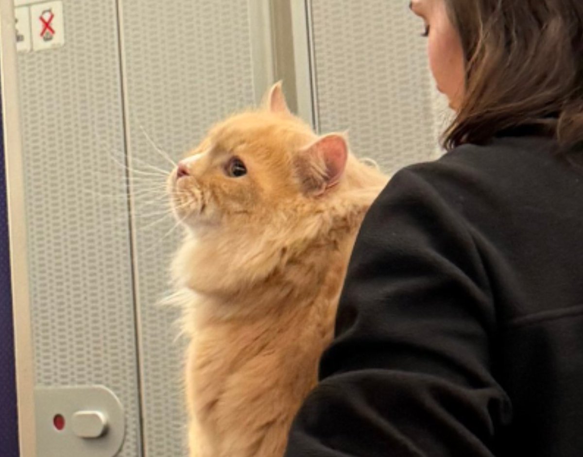 Dr. Soong💡 tweet media