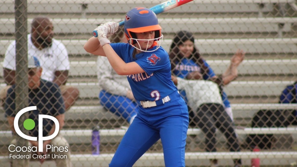 Andrew Simonson tweet media