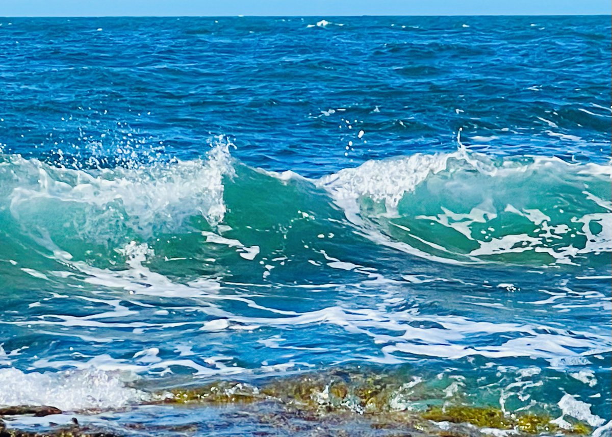 msmCh_108's tweet image. #HelloWorld #foryou