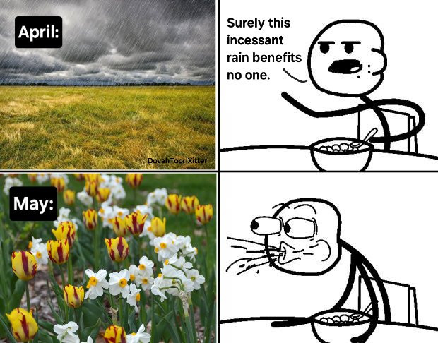 DovahToor, IQ 208, 7'1, PhD tweet media