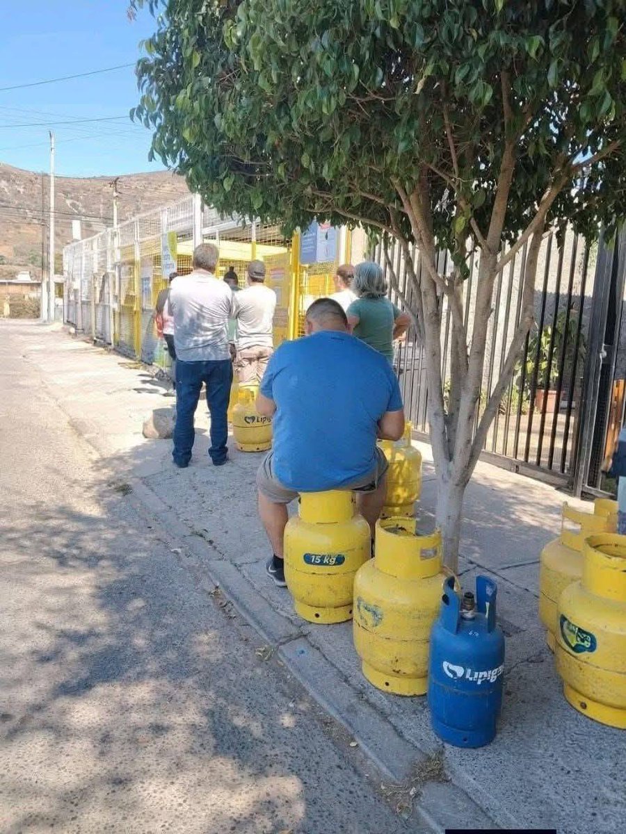 🌳Mukhallis🌳 tweet media