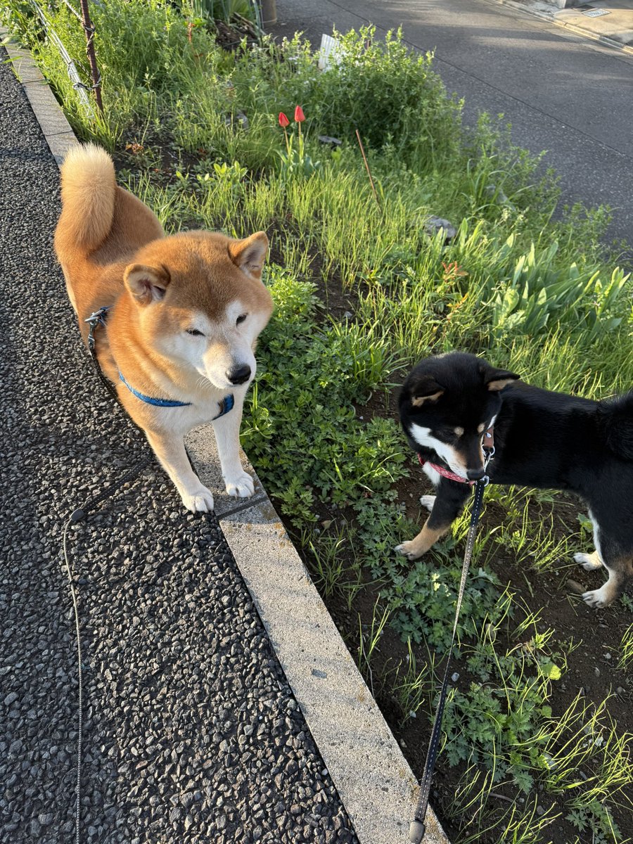 宮脇睦（みやわきあつし）@みやわきチャンネルLv.GoGo tweet media