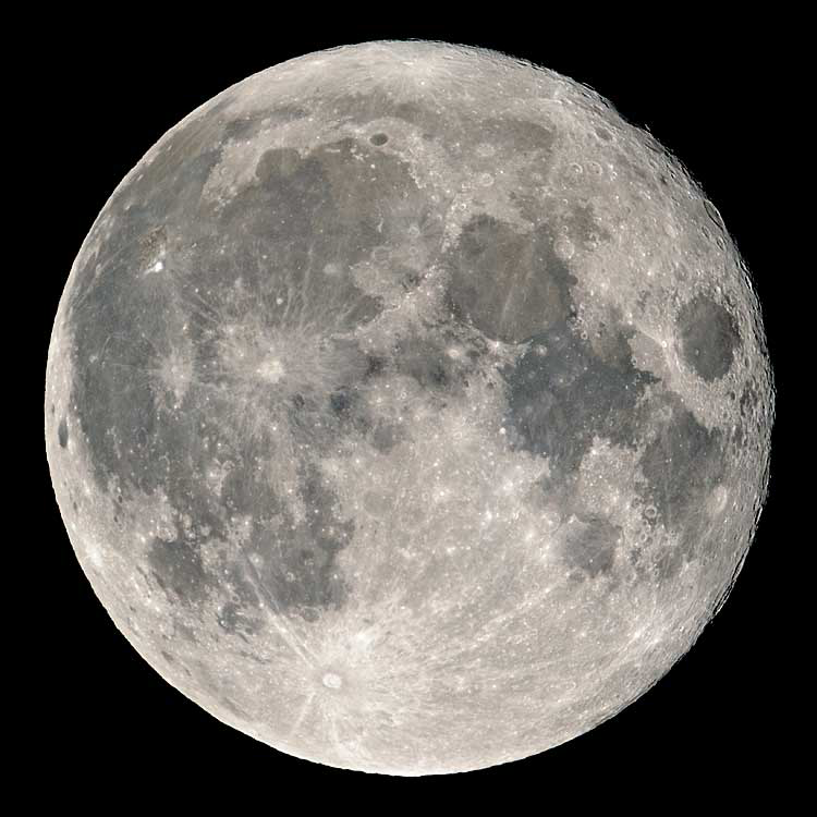 My Moon Phase tweet media