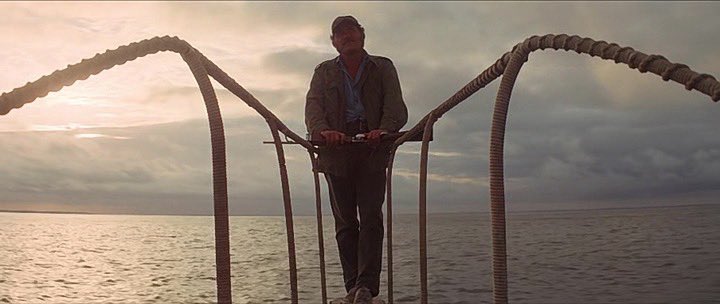 Cinema Connoisseur tweet media