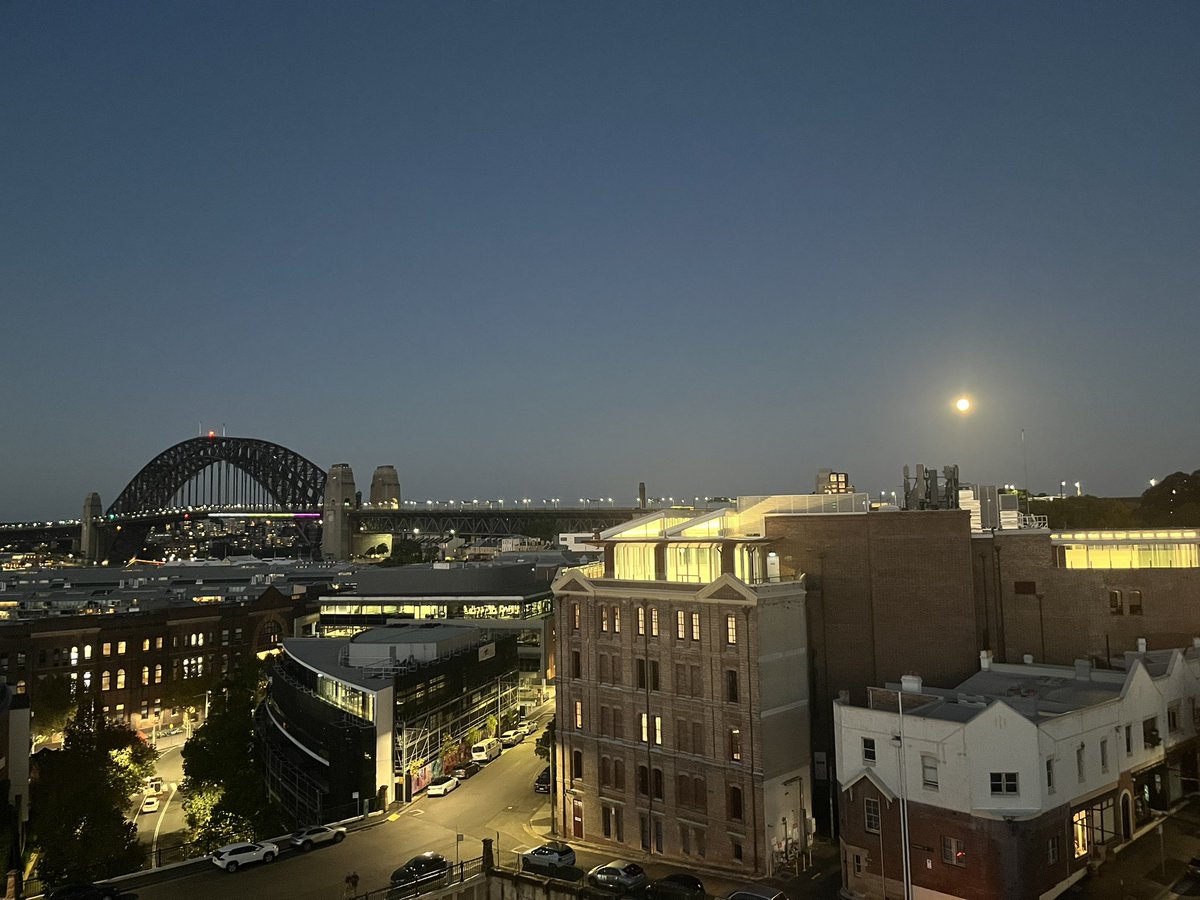 ヤスコ in シドニー🇦🇺🐨🦘 tweet media