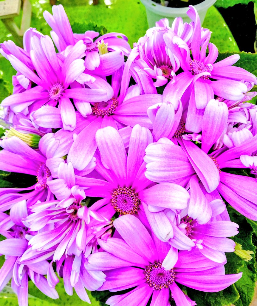 梶原斬鉄 tweet media