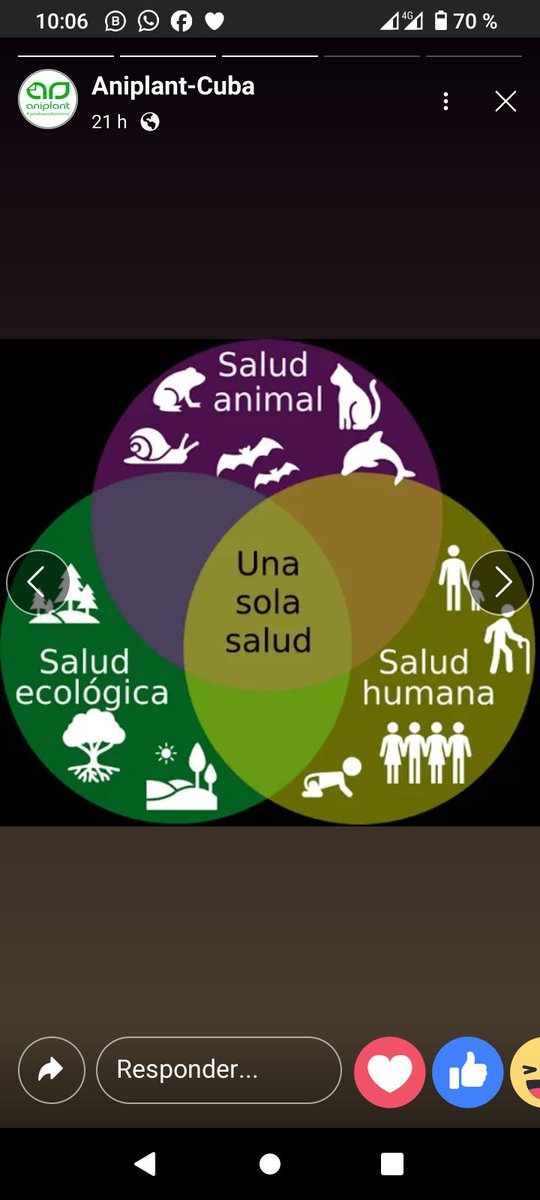 Centro Nacional de Sanidad Animal (CENASA) tweet media