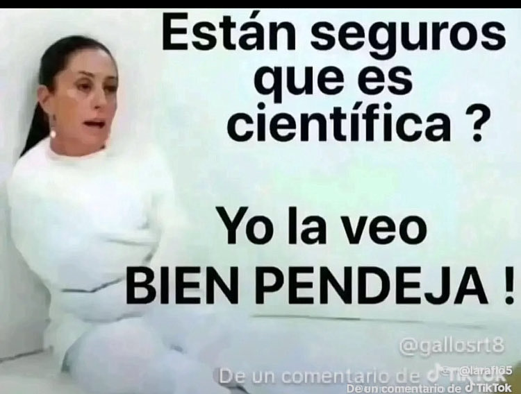 luis del villar tweet media